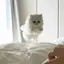 陽菜のプロフィール画像