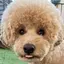 ㅎのプロフィール画像