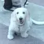 さちこのプロフィール画像