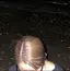 由衣のプロフィール画像