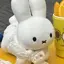 はなのプロフィール画像