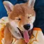 nnのプロフィール画像