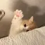 みのプロフィール画像