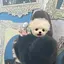 静香のプロフィール画像