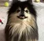 みかのプロフィール画像