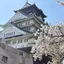 ひろのプロフィール画像