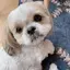 かずのプロフィール画像