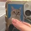 remiのプロフィール画像