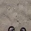 ノノのプロフィール画像