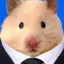 ayuriのプロフィール画像