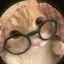 ちーちゃんのプロフィール画像