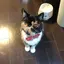 mariのプロフィール画像