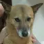 ももものプロフィール画像