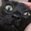なっつくんのプロフィール画像