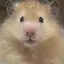 まちゃんのプロフィール画像