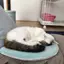 toshiのプロフィール画像