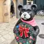 うーちゃんのプロフィール画像
