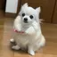 みのプロフィール画像