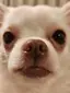 小間のプロフィール画像