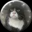 ヨシコのプロフィール画像