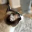ゆのプロフィール画像