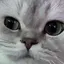あうりのプロフィール画像