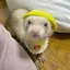 なぎさのプロフィール画像