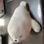 猫好きの嫁のプロフィール画像