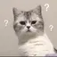 ꨄのプロフィール画像