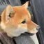 ktのプロフィール画像