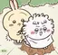 りなのプロフィール画像