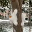 ますおのプロフィール画像