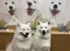 亜紀のプロフィール画像