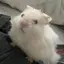 夕華のプロフィール画像