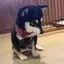 日陽のプロフィール画像