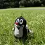 zc6のプロフィール画像