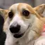 てぃーのプロフィール画像