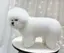 りりのプロフィール画像