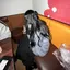 misamisaのプロフィール画像