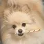 しんしんのプロフィール画像