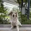 Nのプロフィール画像