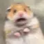 よるのプロフィール画像