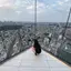 里奈のプロフィール画像