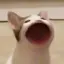 あのプロフィール画像