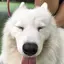 まるのプロフィール画像