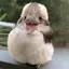 annaのプロフィール画像