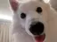 hiiのプロフィール画像