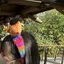 東納のプロフィール画像