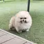 nnmyのプロフィール画像