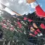 shioriのプロフィール画像